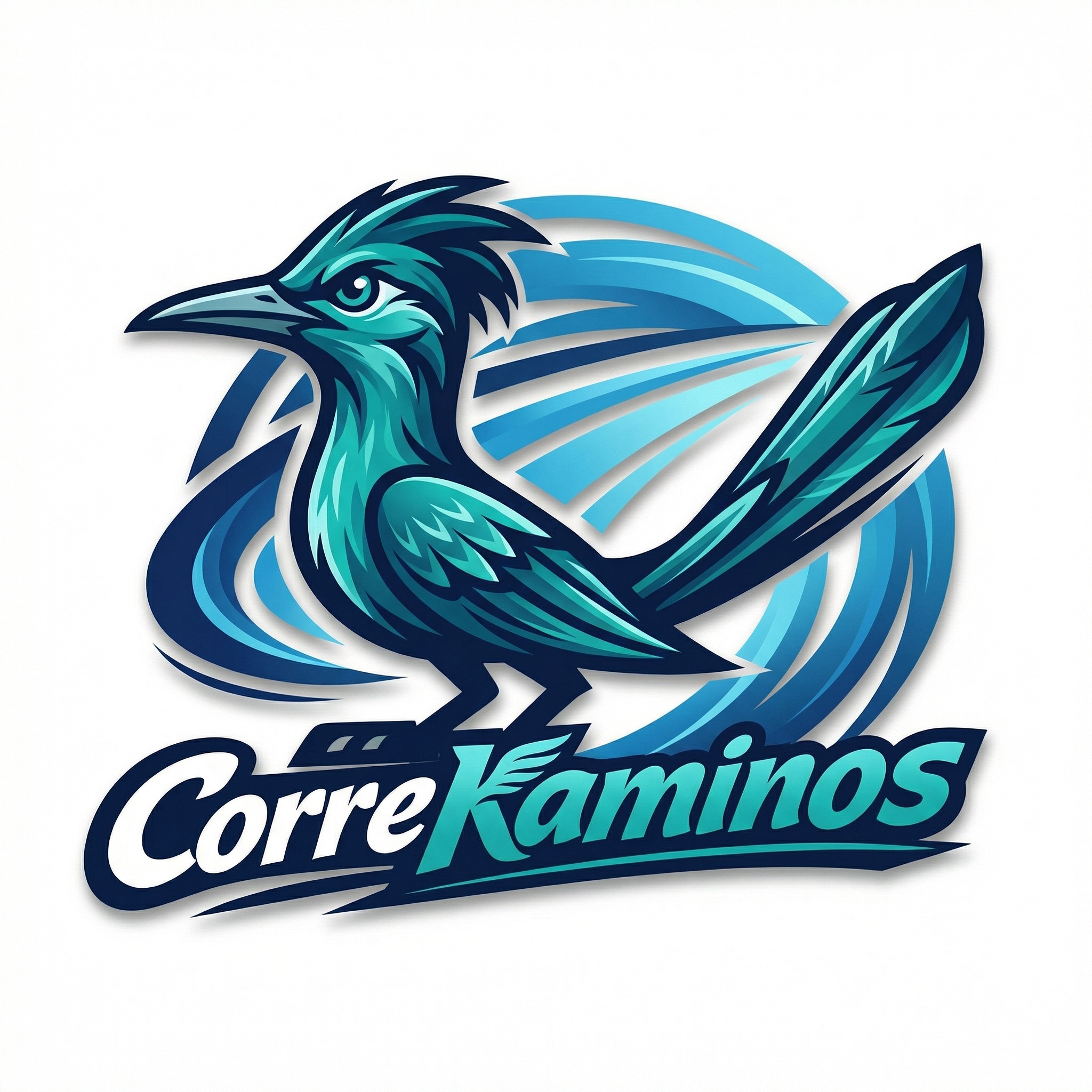 Correkaminos Logistica